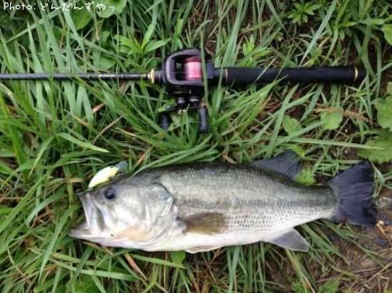 �֥�å��Х�