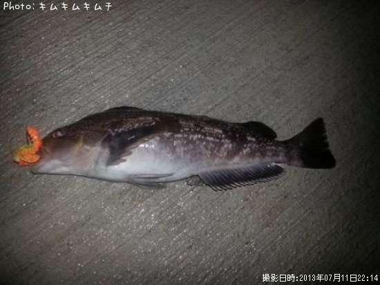 �����ʥ�