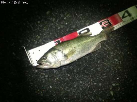 �֥�å��Х�