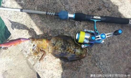 �����ꥤ��