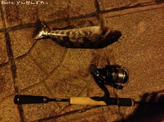 �����ʥ�