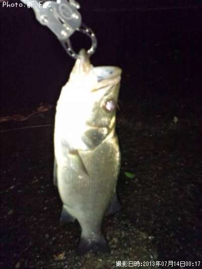 �����Х�