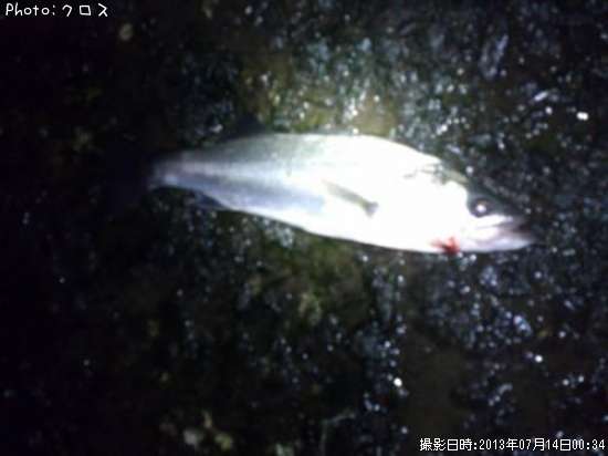 �����Х�