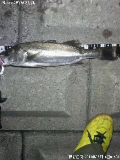 �����Х�