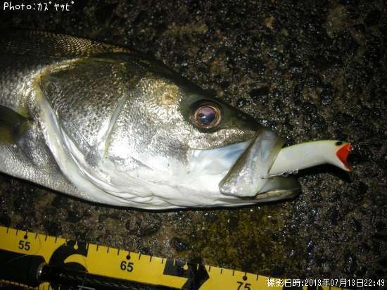 �����Х�