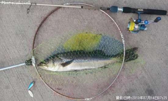 �����Х�