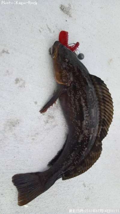 �����ʥ�