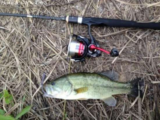 �֥�å��Х�