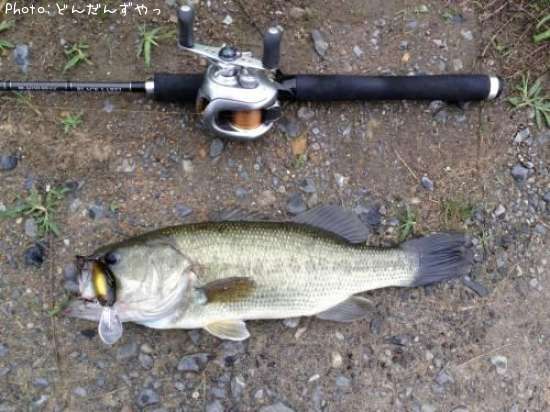 �֥�å��Х�