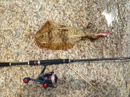 �����ꥤ��