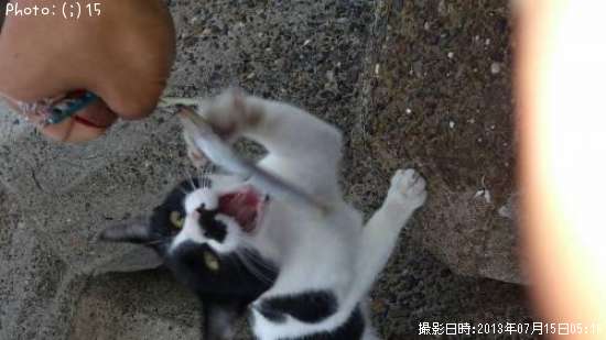 ���ޤ�