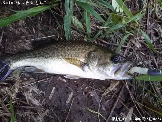 �֥�å��Х�