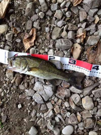 �֥�å��Х�