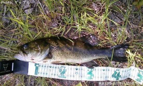 �֥�å��Х�