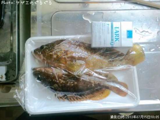 �����ߥ�