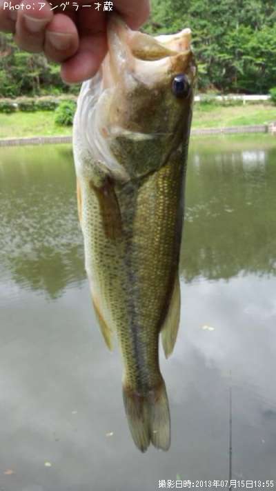 �֥�å��Х�