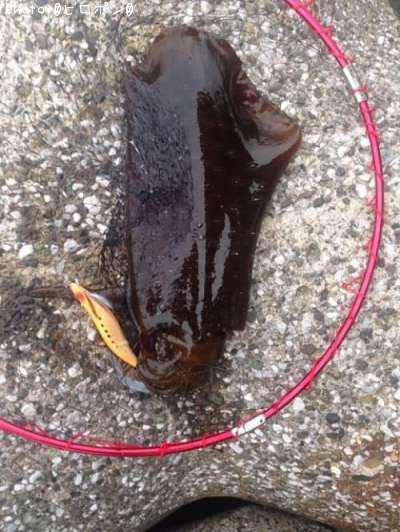 �����ꥤ��