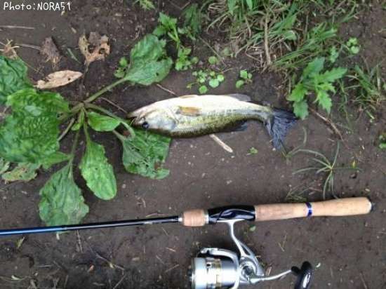 �֥�å��Х�