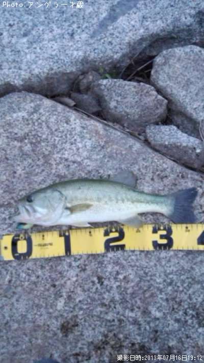 �֥�å��Х�