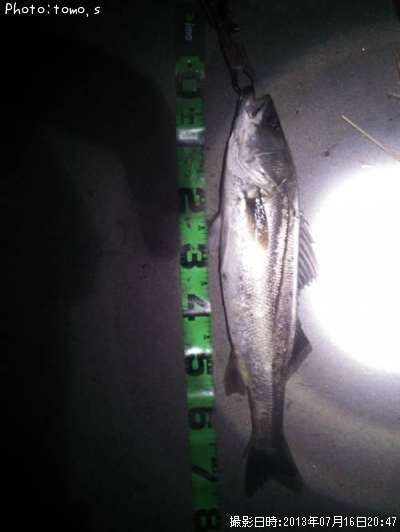 �����Х�