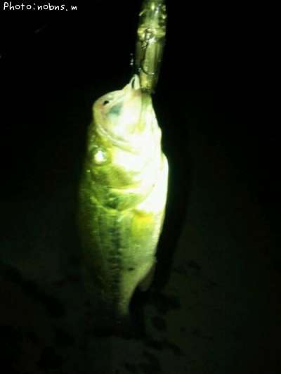 �֥�å��Х�