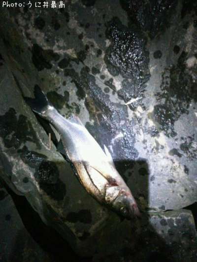 �����Х�