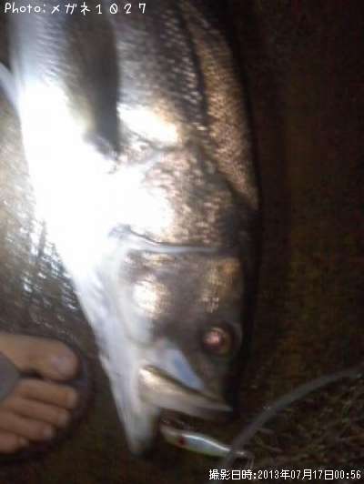 �����Х�