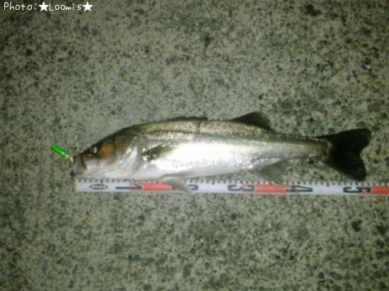 �����Х�