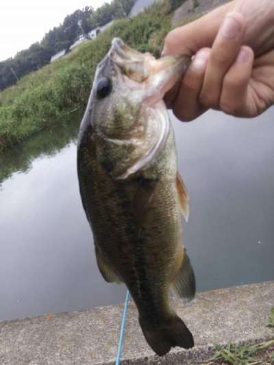 �֥�å��Х�