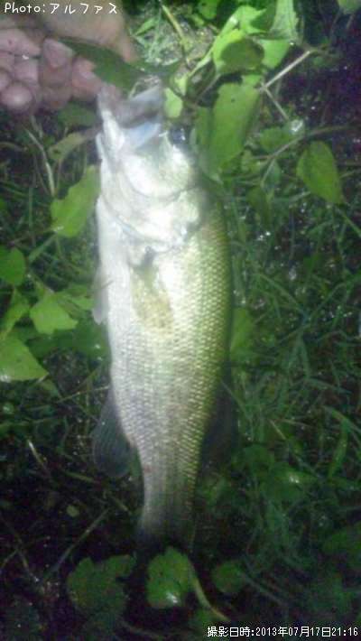 �֥�å��Х�