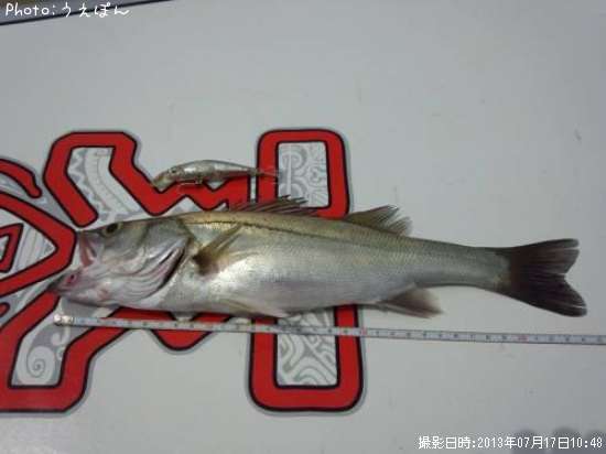 �����Х�