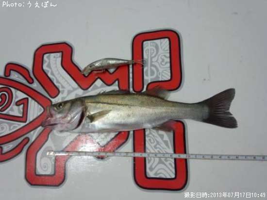 �����Х�