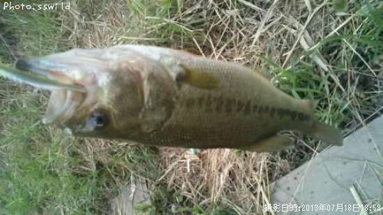 �֥�å��Х�