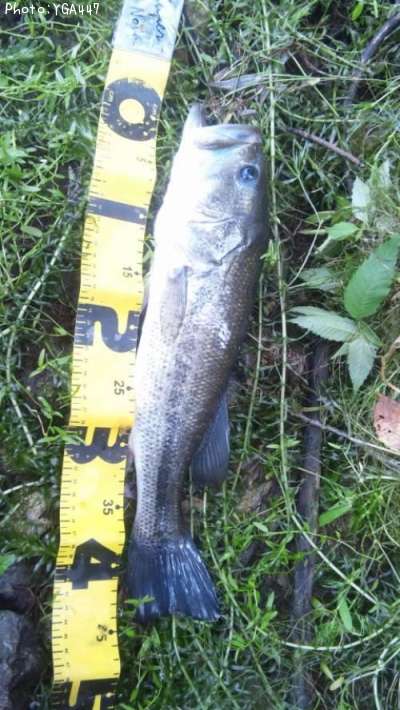 �֥�å��Х�