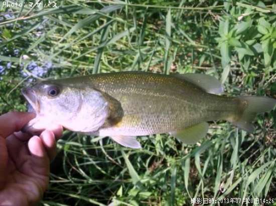 �֥�å��Х�