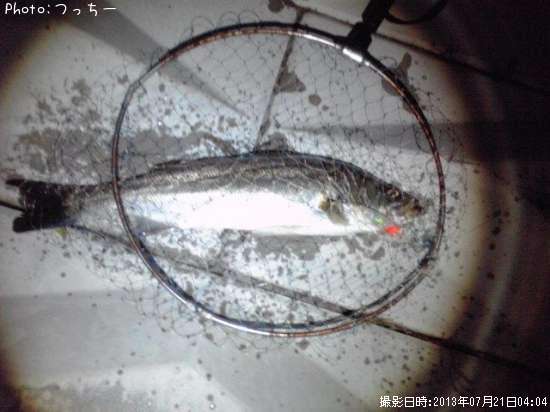 �����Х�