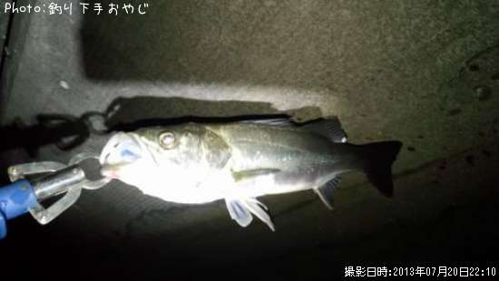 �����Х�