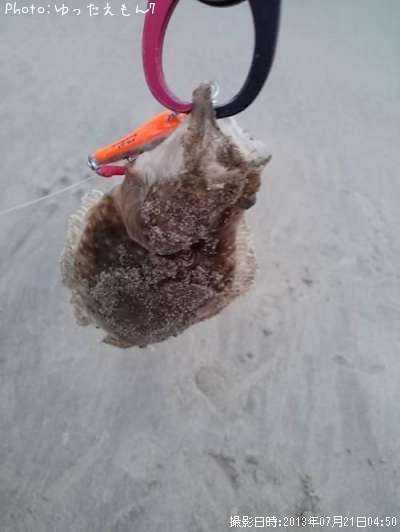 �ҥ�ᡡ�ʥ�����