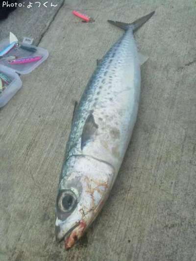 ���ޥ���