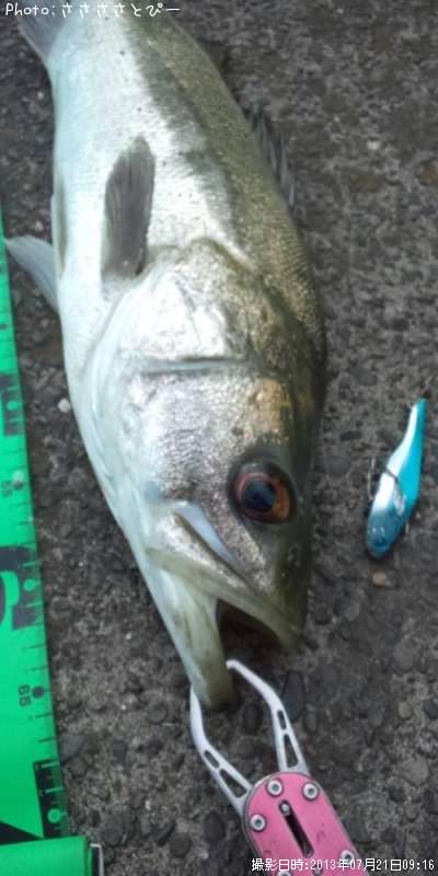 �����Х�