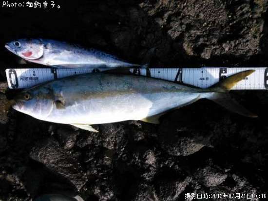 �ҥ�ޥ����ҥ�ޥ�����