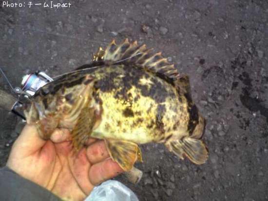 �����Υ���Х�