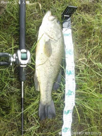 �֥�å��Х�