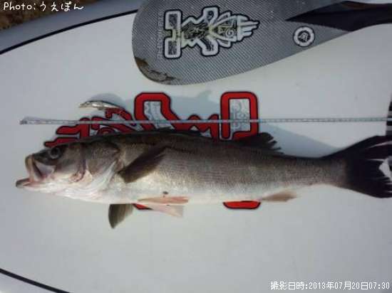 �����Х�