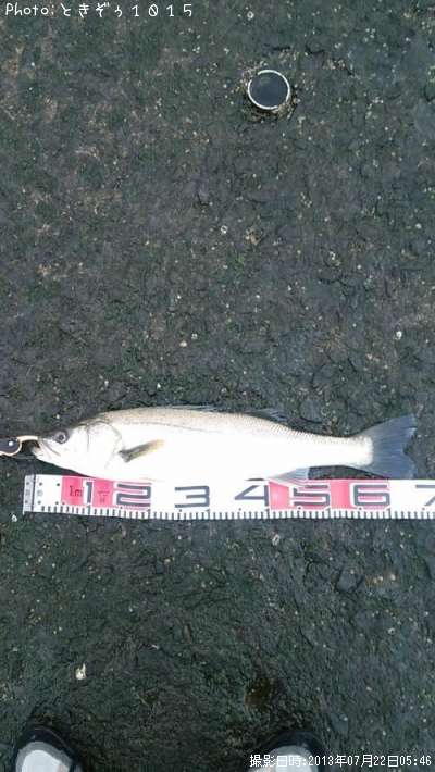 �����Х�