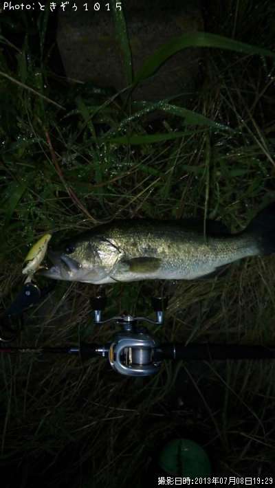 �֥�å��Х�