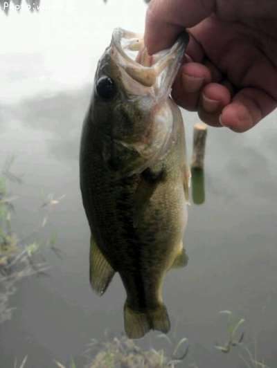 �֥�å��Х�