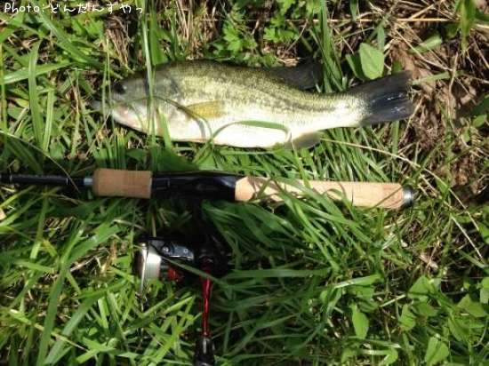 �֥�å��Х�