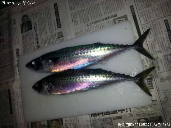 ���ޥ���