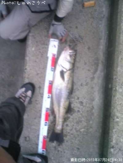 �����Х�